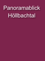 Panoramablick  Höllbachtal